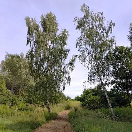 Zielona Przystan